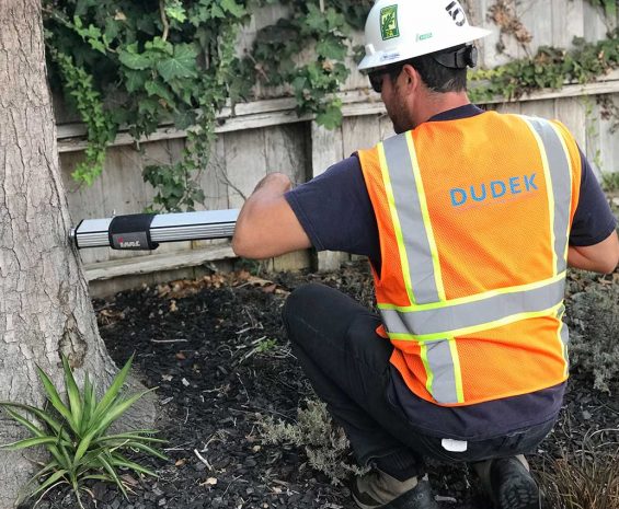 Dudek urban forestry team member uses a resistograph to determine internal tree decay