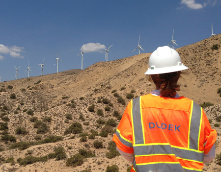 Dudek compliance field worker faces a desert hillside with renewable energy wind turbines on the ridge