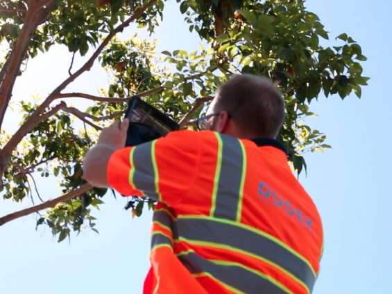 Man wearing orange vest measuring in tree
