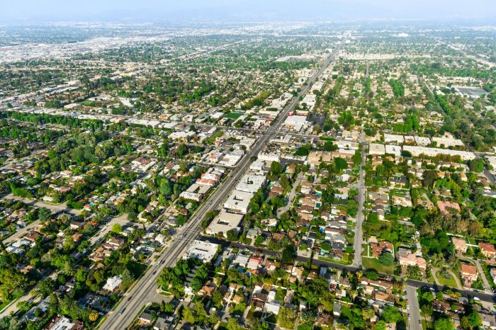 Aerial view of trees in Los Angeles urban forest