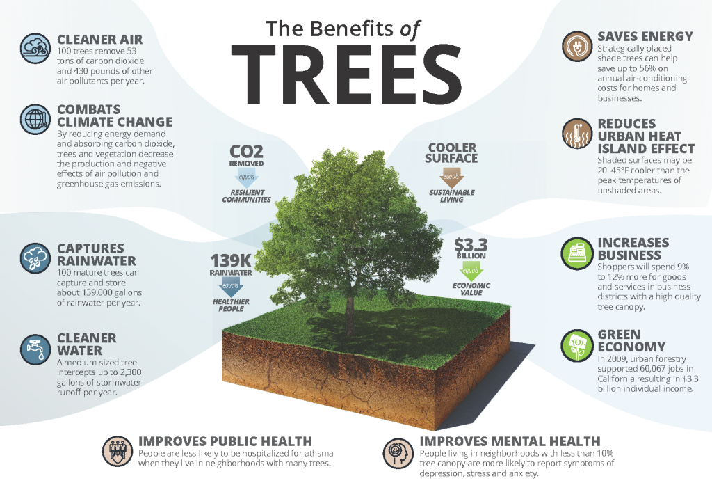 Graphic outlining the benefits of trees and urban forests, including cleaner air, combatting climate change, rainwater capture, cleaner water, public health improvement, energy saving, heat mitigation, increasing business, and adding jobs.