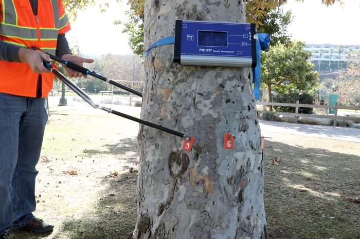 Dudek arborist performs sonic tomography on a tree