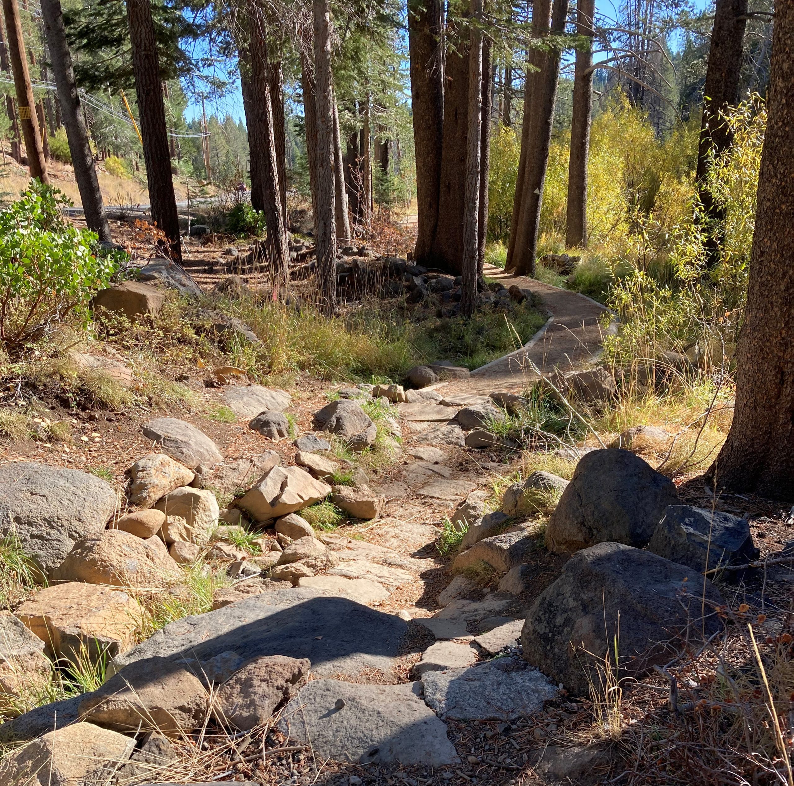 Tahoe Donner trail enhanced as part of a Dudek landscape architecture project.