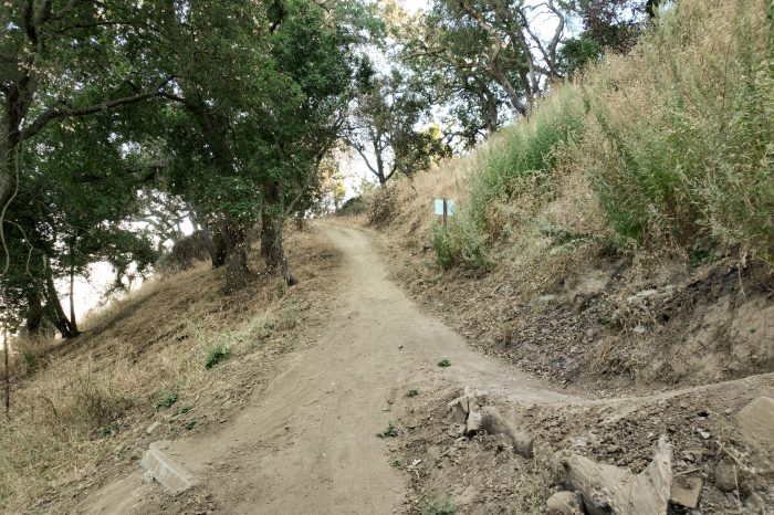 habitat